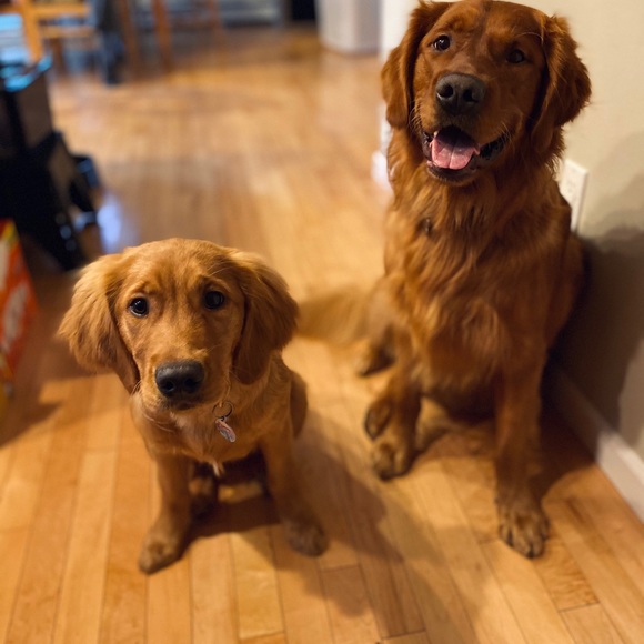 AKPOSHMOM Please take advantage of BUNDLE AND SAVE - Picture 2 of 11